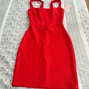 Red Chic Scarlet Mini Dress